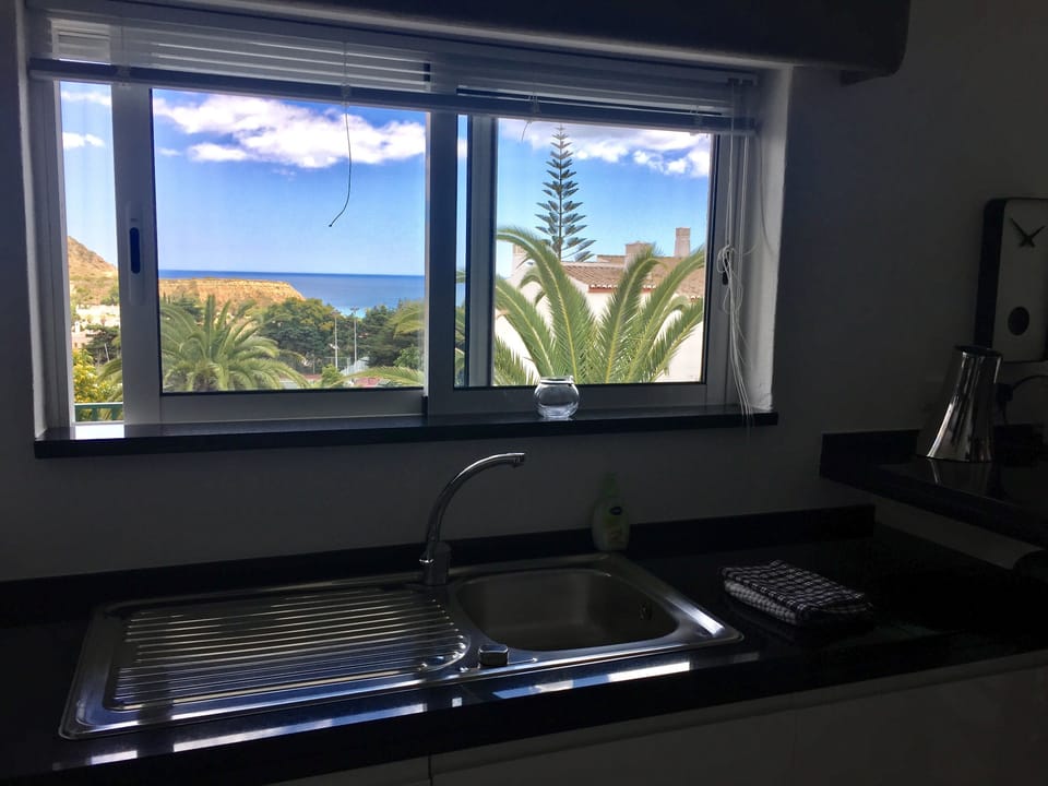 Dishwashing with a view