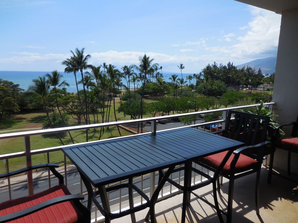 Great 16 foot Lanai to hang out. Direct Pacific Ocean view, Kalama Beach Park.