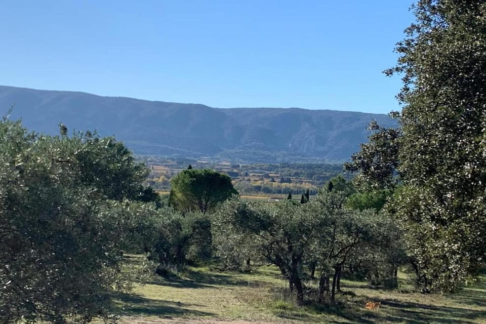 Region [summer] (>5 km)