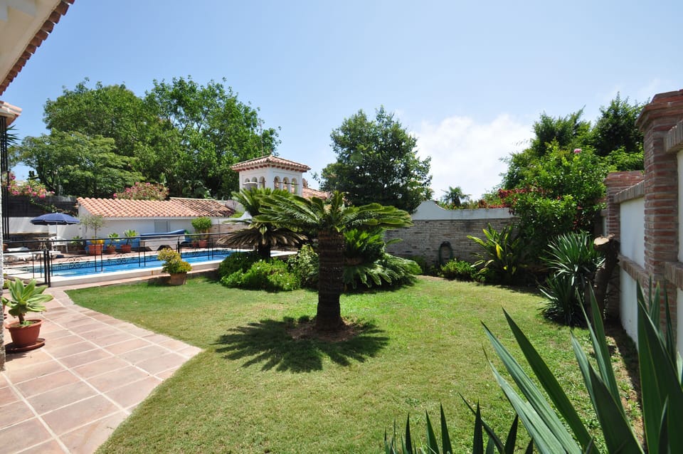 Part of the garden - it is fenced from the pool area