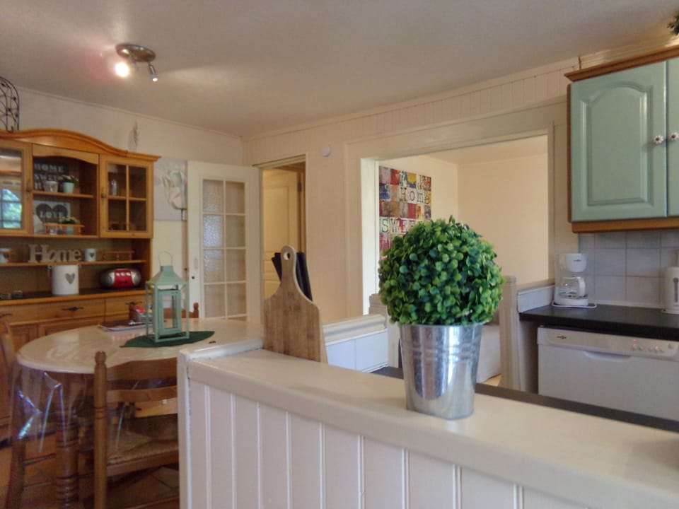 Kitchen and dining area
