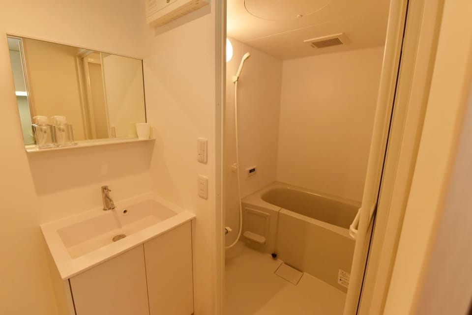 Separate tub and shower, free toiletries, hair dryer, electronic bidet