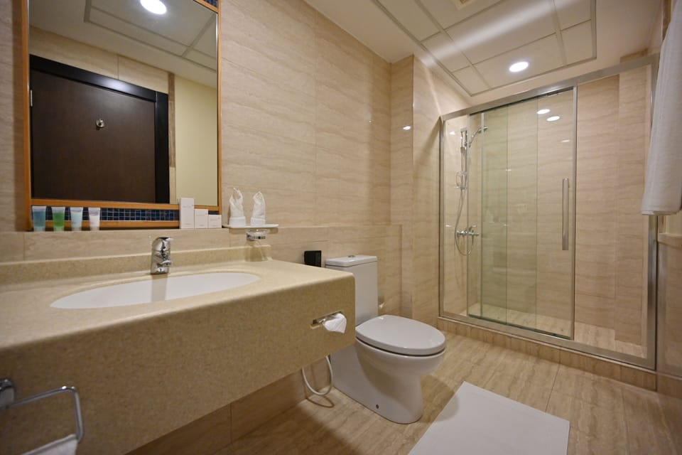 Deluxe Double Room, City View | Bathroom | Shower, free toiletries, hair dryer, bathrobes