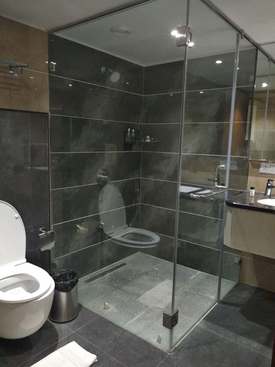 Premier Room with Breakfast | Bathroom | Shower, free toiletries, towels
