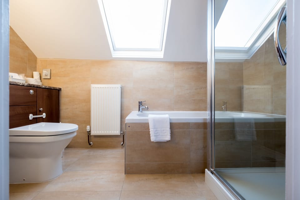 Deluxe Suite | Bathroom | Combined shower/tub, free toiletries, hair dryer, towels