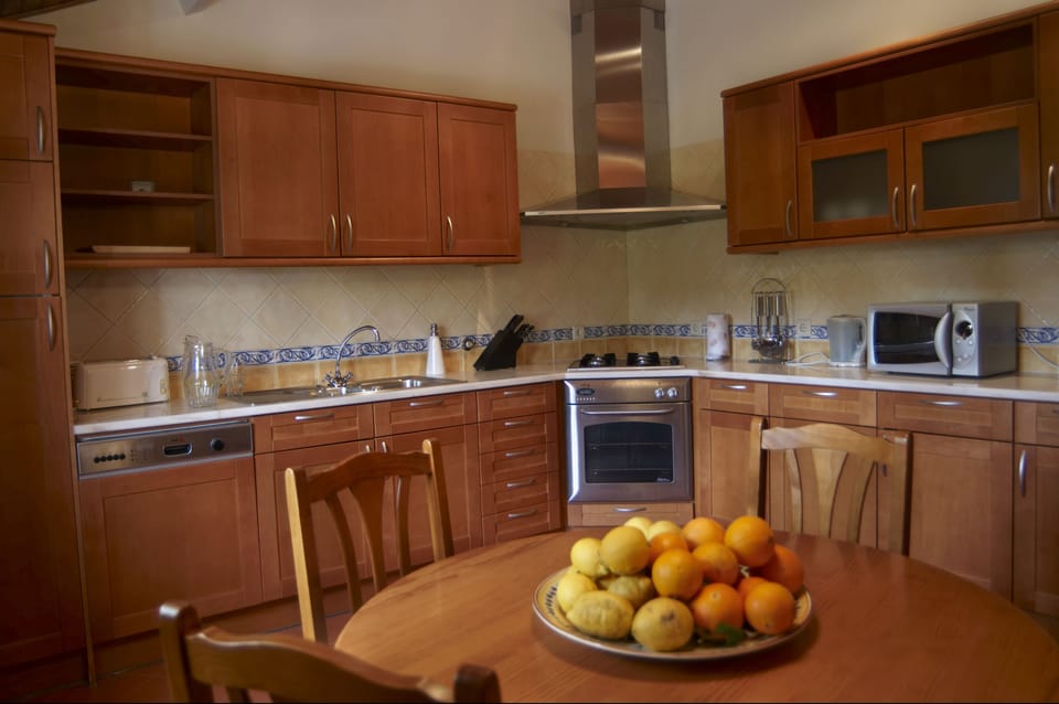 House, 2 Bedrooms (Casa da Vinha) | Private kitchen | Full-size fridge, microwave, oven, stovetop