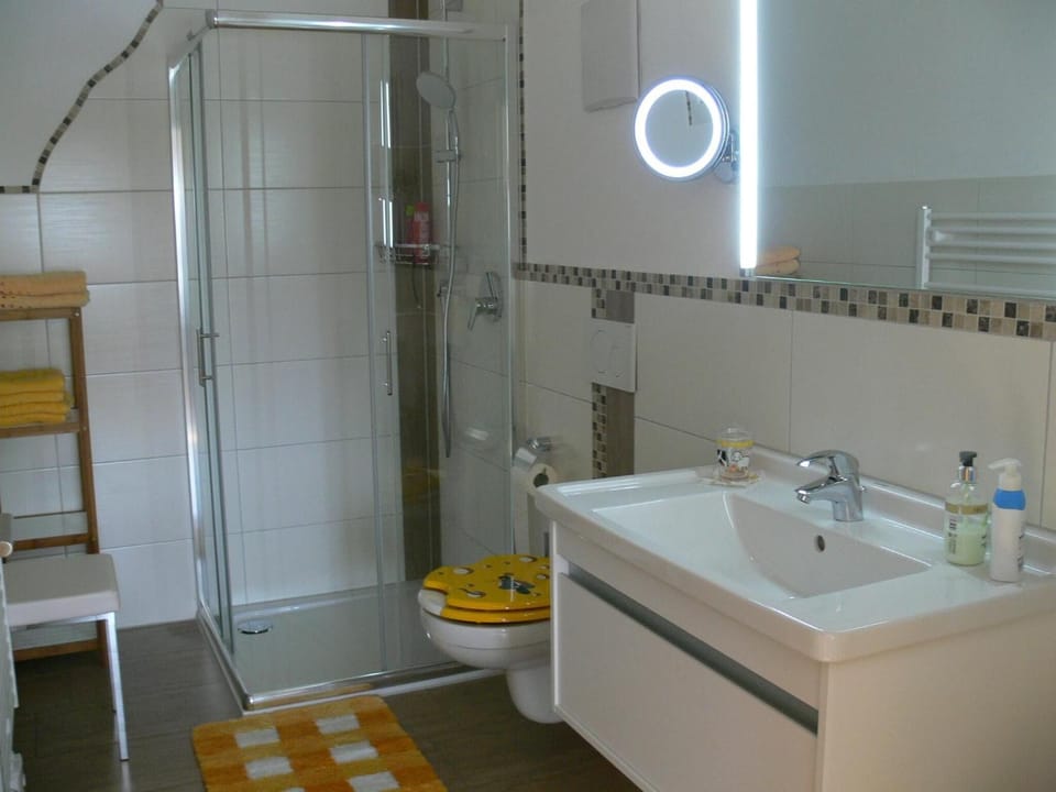 Shower, hair dryer