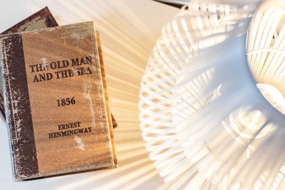 Standard Double or Twin Room, Park View (Modena) | Minibar, in-room safe, individually decorated, desk