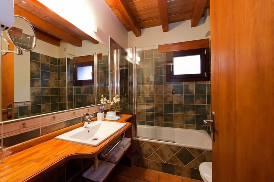 Hair dryer, bidet, towels