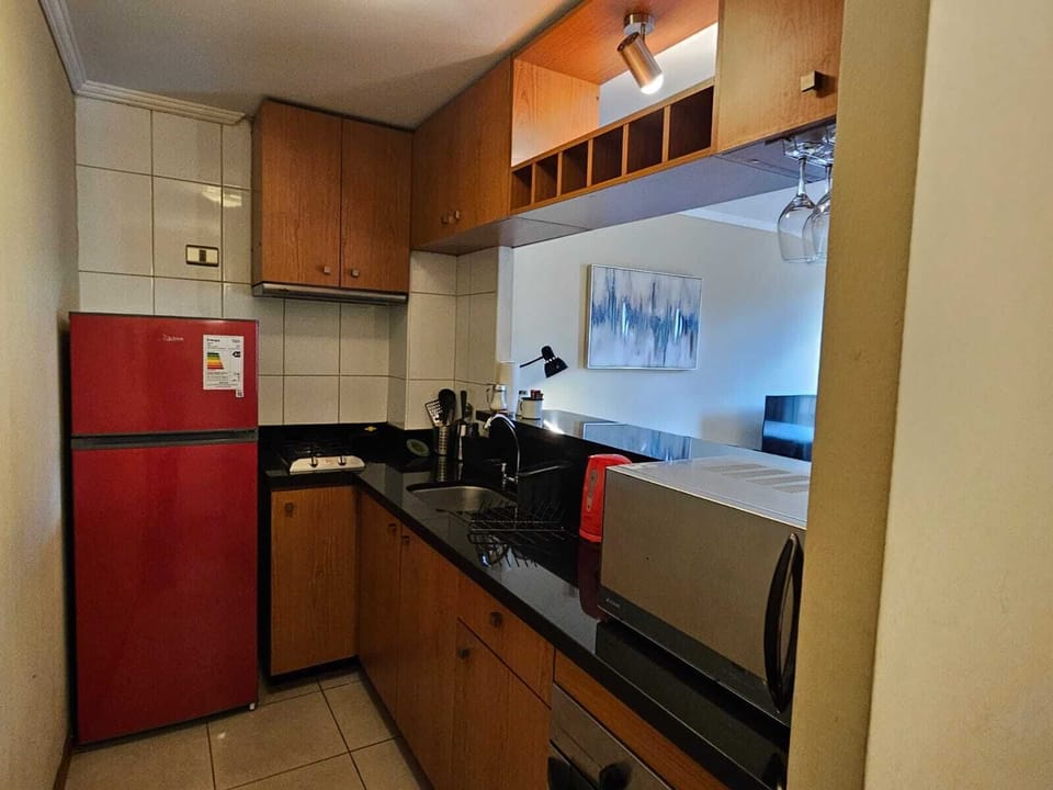 Comfort Apartment, 1 Bedroom | Private kitchen | Fridge, microwave, oven, stovetop