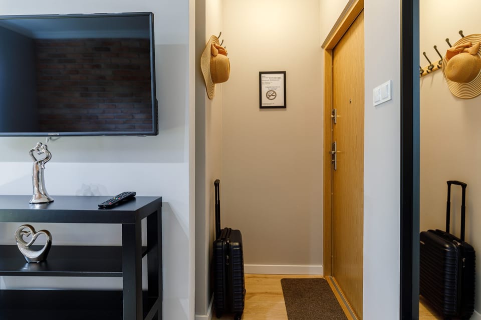 Superior Apartment, Non Smoking, City View (Panienska A) | Television