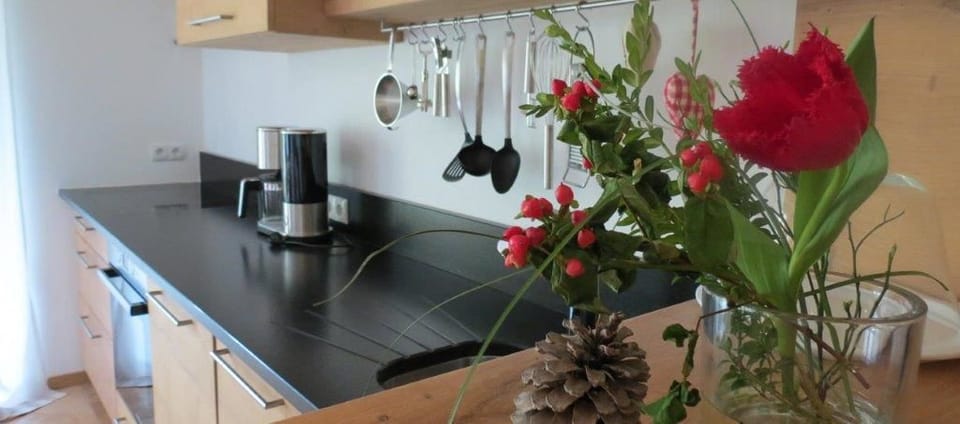 Double Room, Non Smoking | Private kitchen | Oven, stovetop, dishwasher, electric kettle
