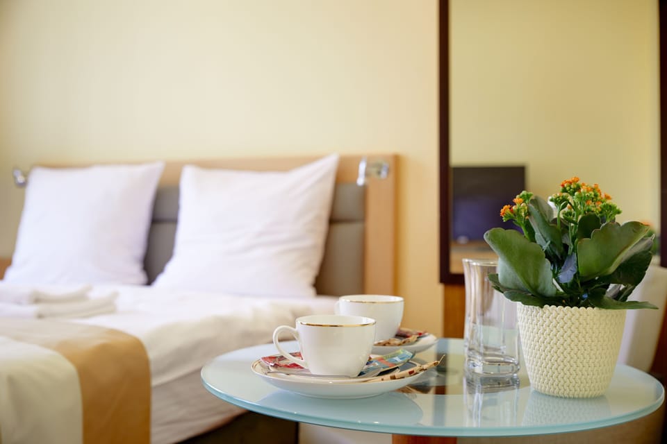 Deluxe Double Room, 1 King Bed, City View | Desk, iron/ironing board, free WiFi, bed sheets