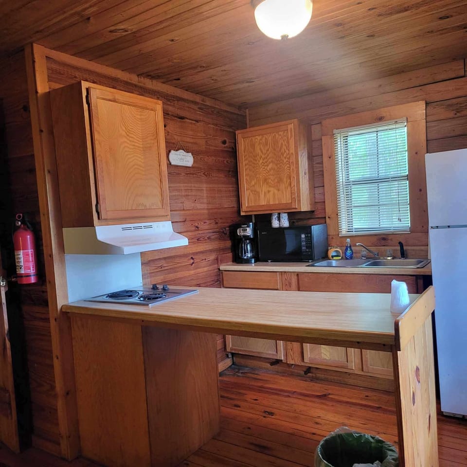 Family Cabin | Private kitchen | Fridge, microwave, stovetop, coffee/tea maker