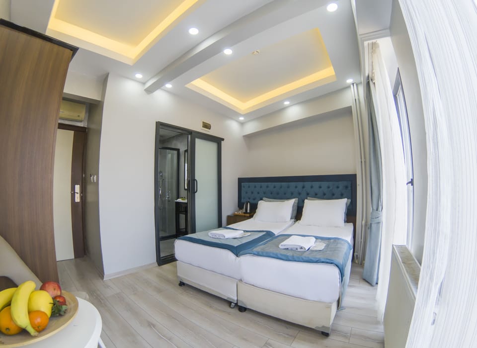 Standard Double or Twin Room, Non Smoking | Free minibar items, in-room safe, desk, free WiFi