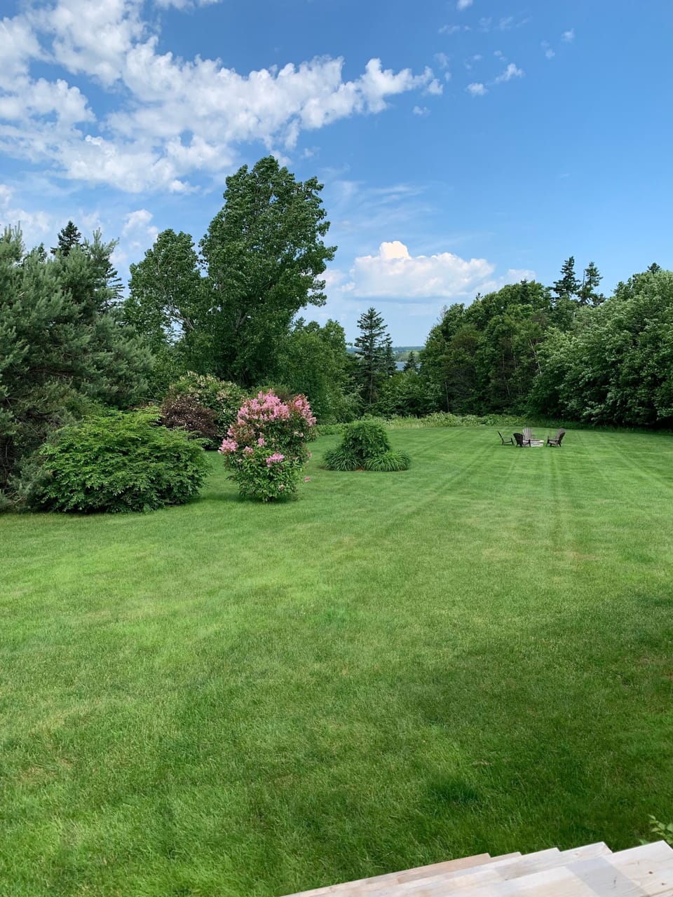 View of backyard from Deck. River view, amongst the trees, fire pit.