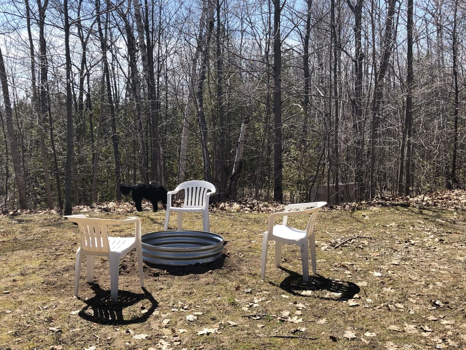 Fire pit in the back yard