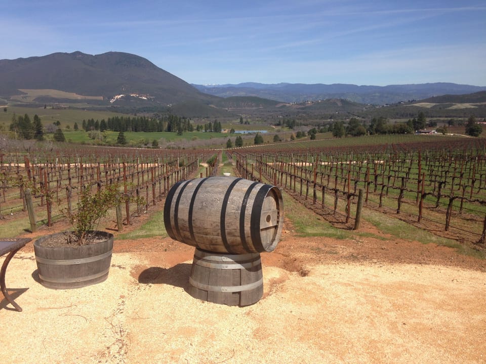 View while wine tasting at Laujor winery in Kelseyville!