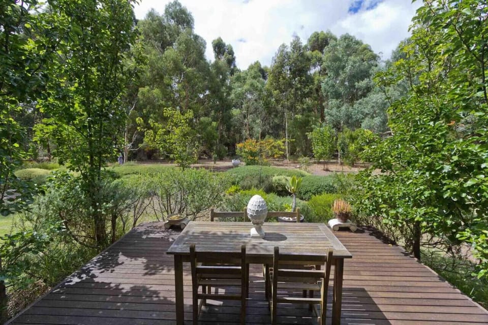 Garden and seating area