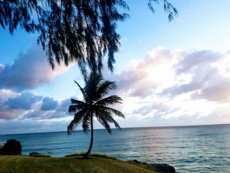 Mangoville is located close to many beautiful beaches on the south coast
