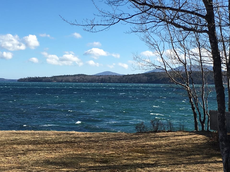 back yard during higher winds 
