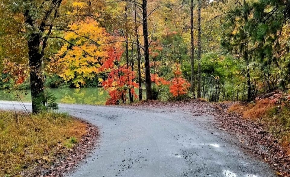 Fall is in the air!