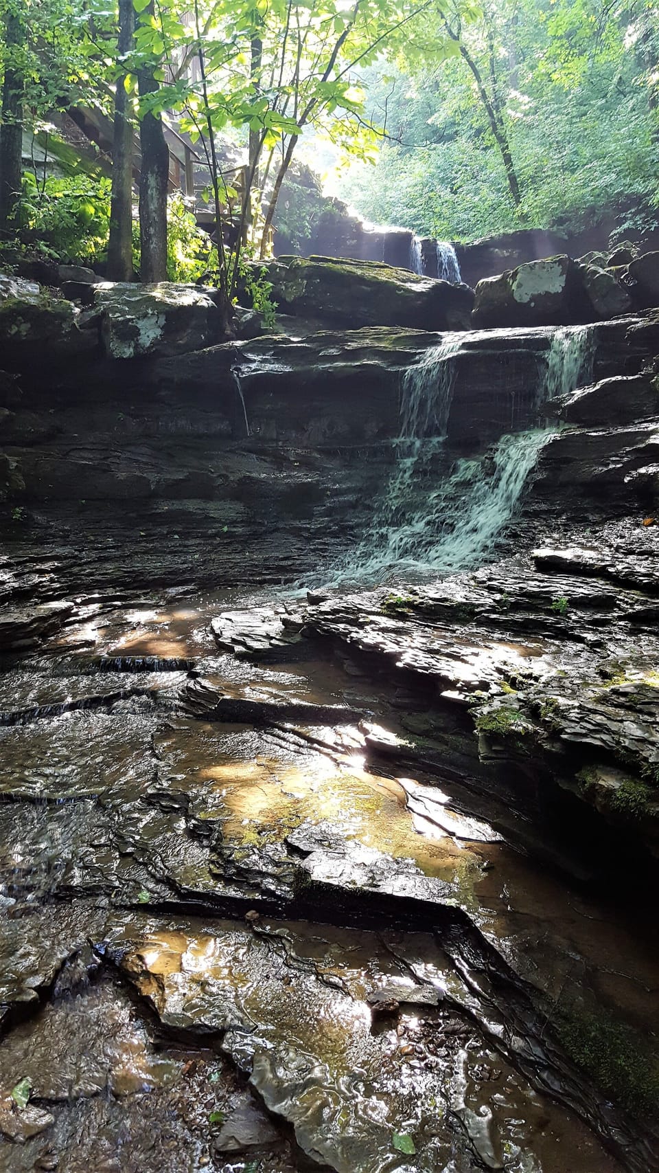 Looking upstream back at the house and waterfall from downstream (July)