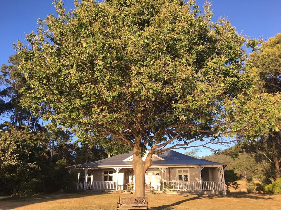 Sit under the Oak tree and watch the boats and dolphins go by all day! 