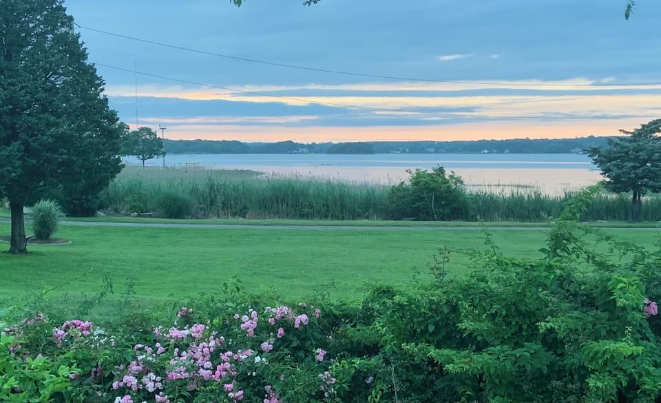 The view ( even prettier in person)
