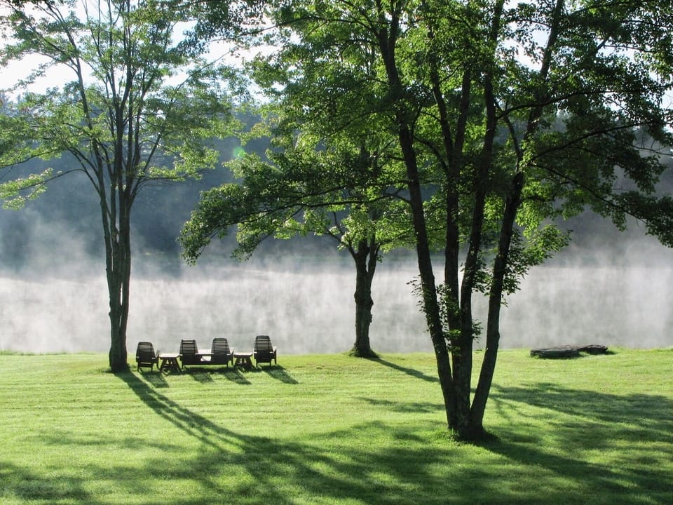 Early morning fog