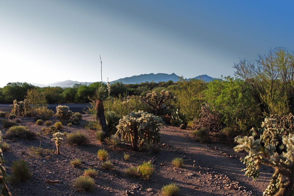 View from walking trails adjacent the property--sunrise beauty.