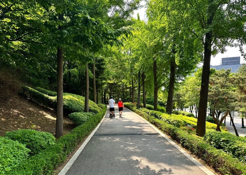 Namsan park right behind the house enjoy at the center of the city.