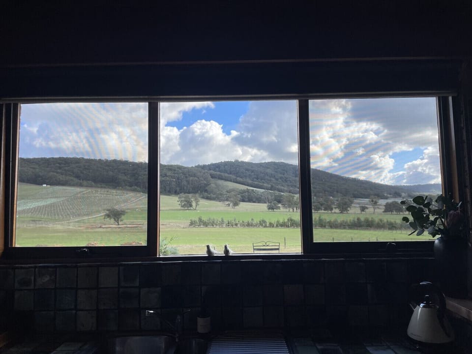 Kitchen views so good, even washing up feels like a treat.