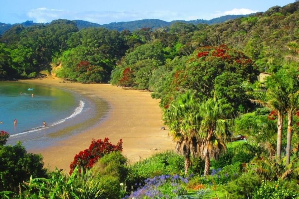 Pohutakawa and Golden Sand