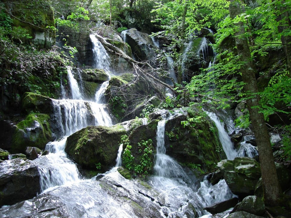 Smokey Mountain National Park