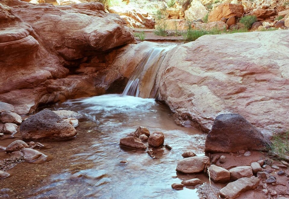 Cottonwood Wash