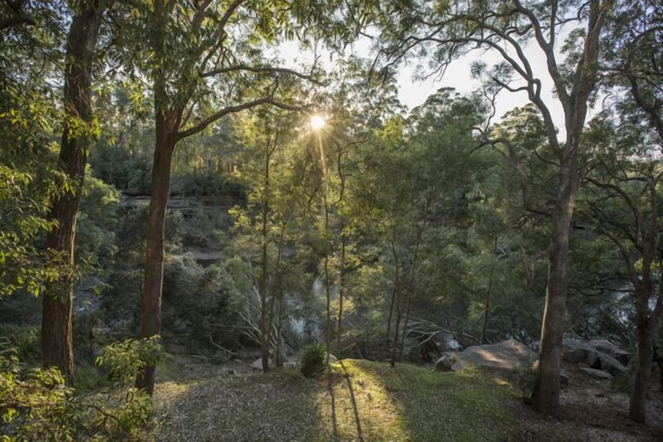 The Treehouse is suspended on the banks of Kangaroo River 
