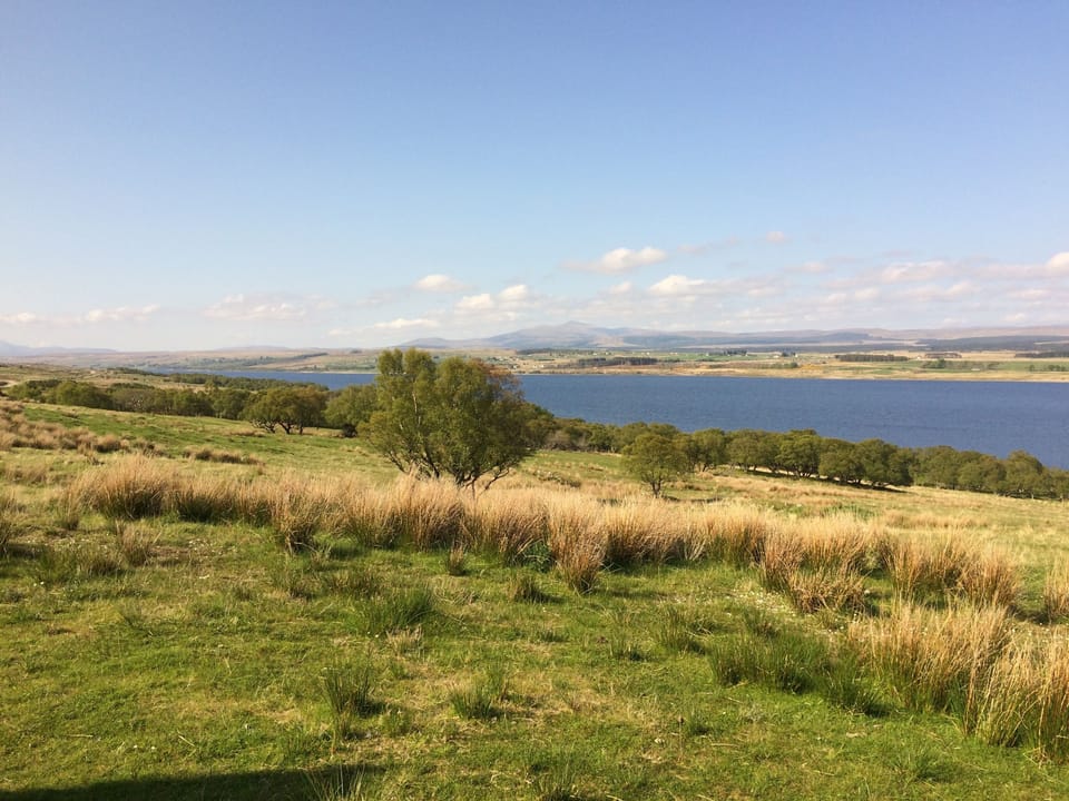view from back door
