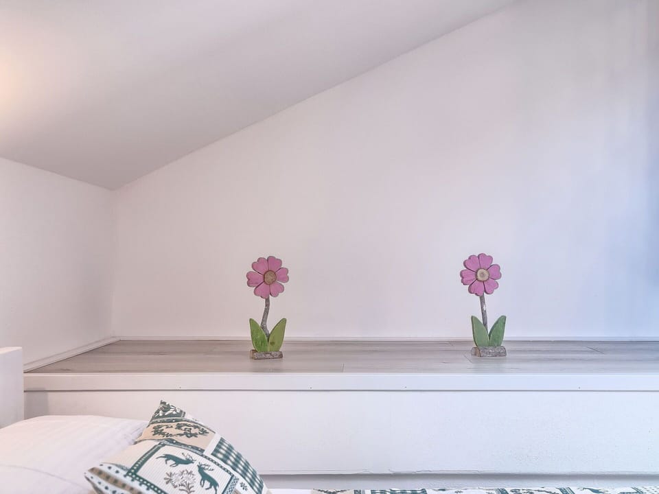 Flower, Plant, Vase, Flowerpot, Houseplant, Purple, Textile, Table, Building, Interior Design
