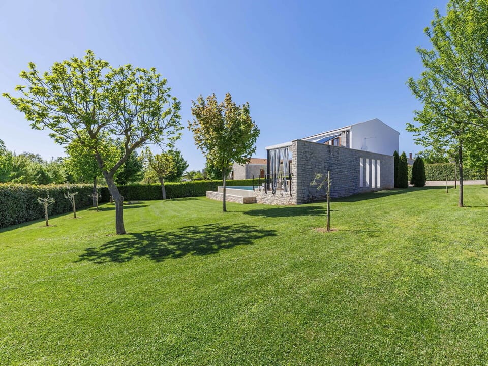 Plant, Sky, Tree, Natural Landscape, Land Lot, Grassland, Grass, Woody Plant, Plain, Landscape