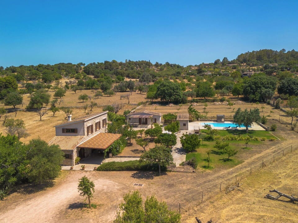 Tree, Estate, Home, Rural Area, Farmhouse, Hacienda, Villa, Shade, Eco Hotel, Yard