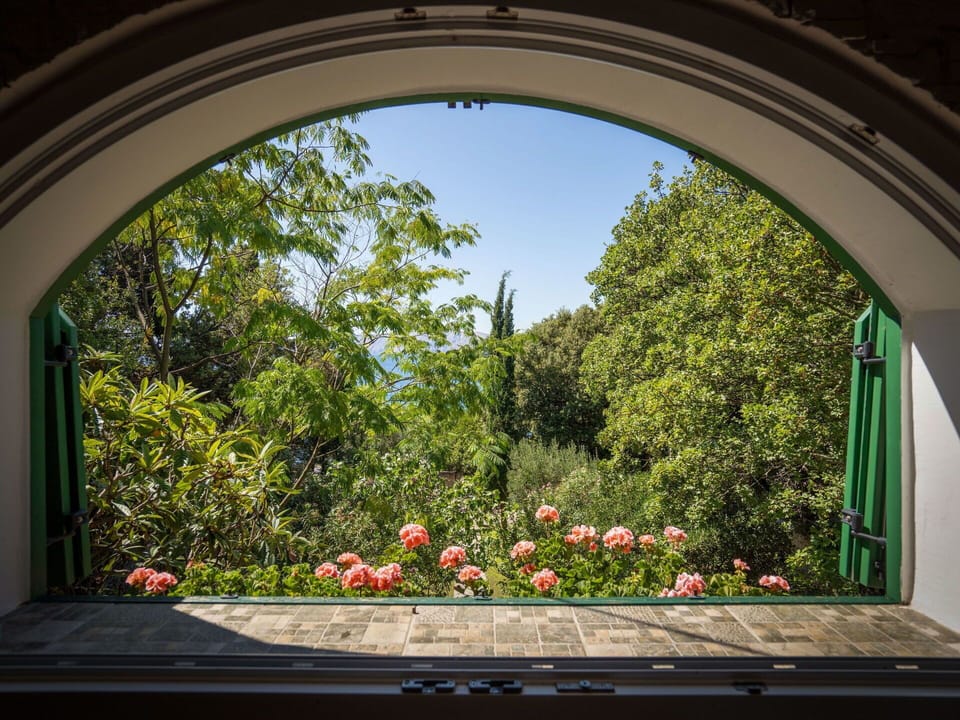 Plant, Building, Flower, Daytime, Property, Window, Sky, Light, Botany, Leaf