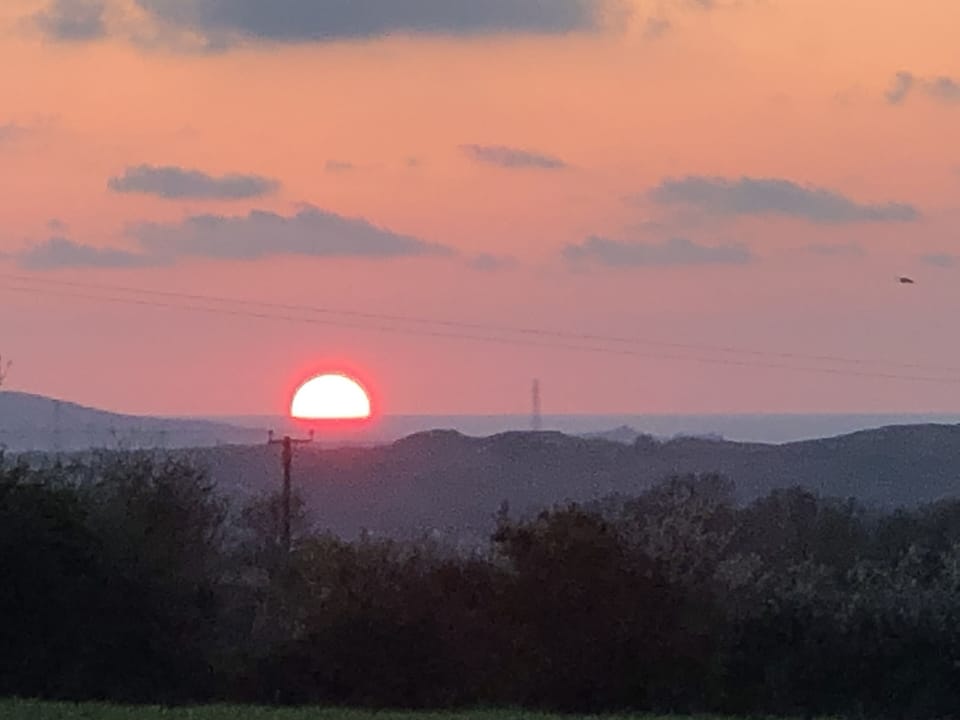 Sunset from the garden