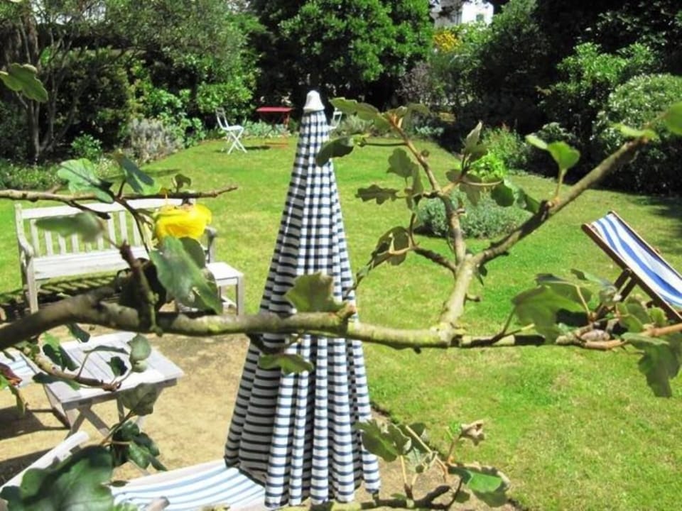 Garden, Park