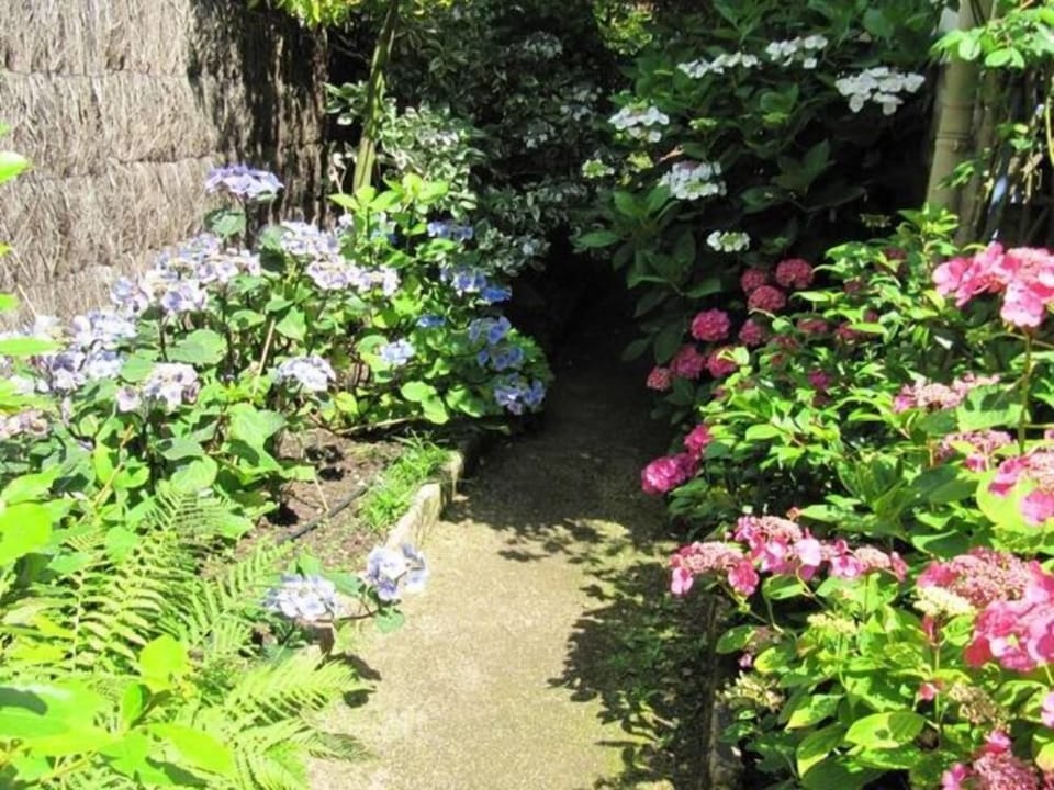 Garden, Park