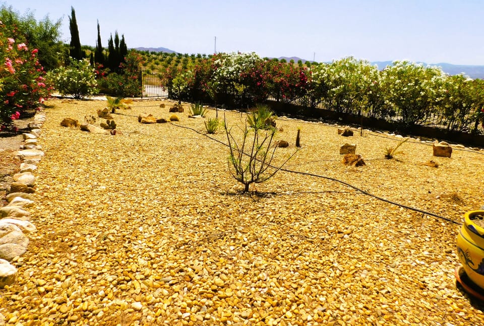 Front garden view