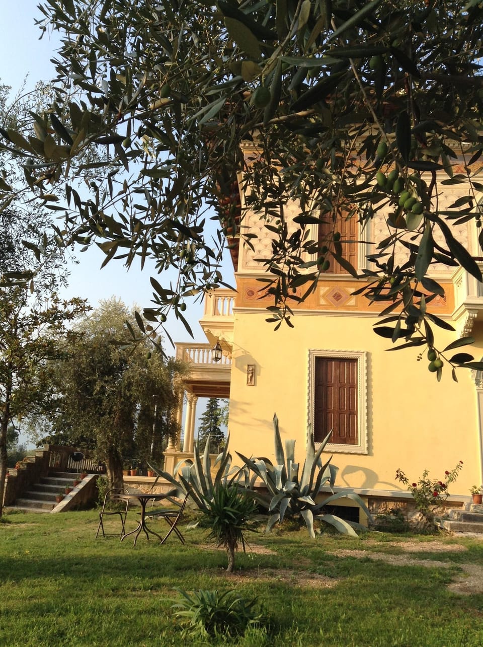 Partial view of the garden