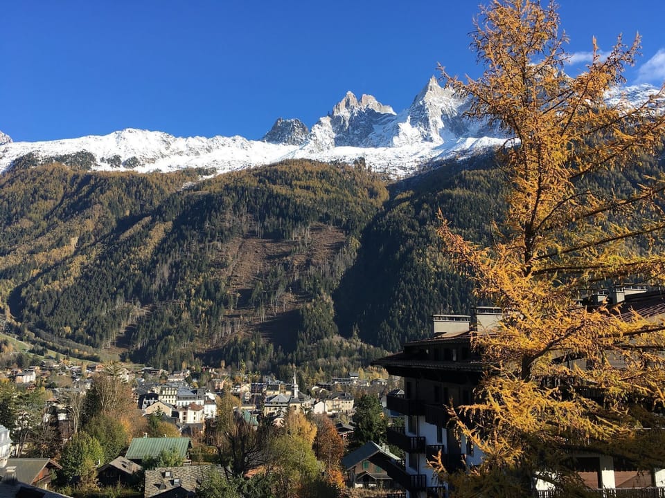 mountain view