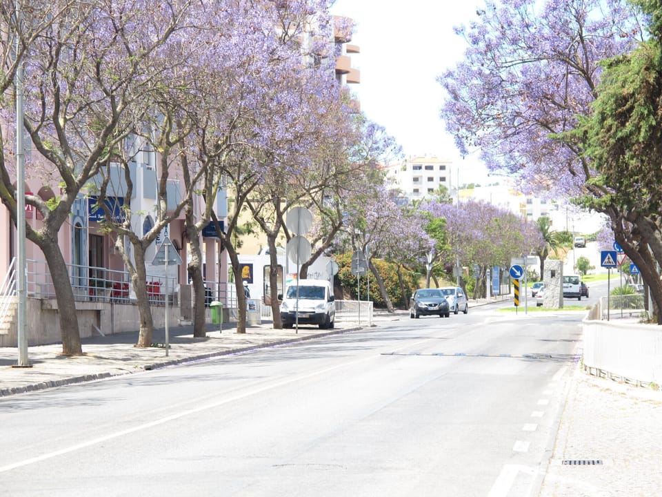 Our street