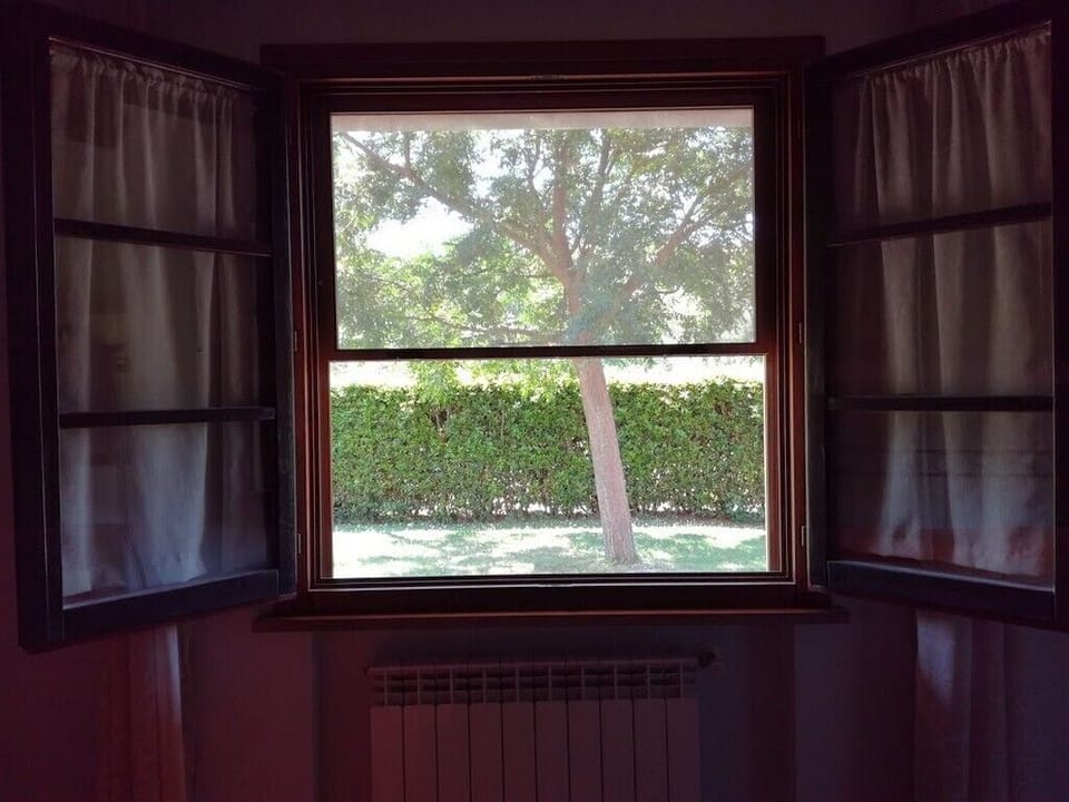 The bedroom's window